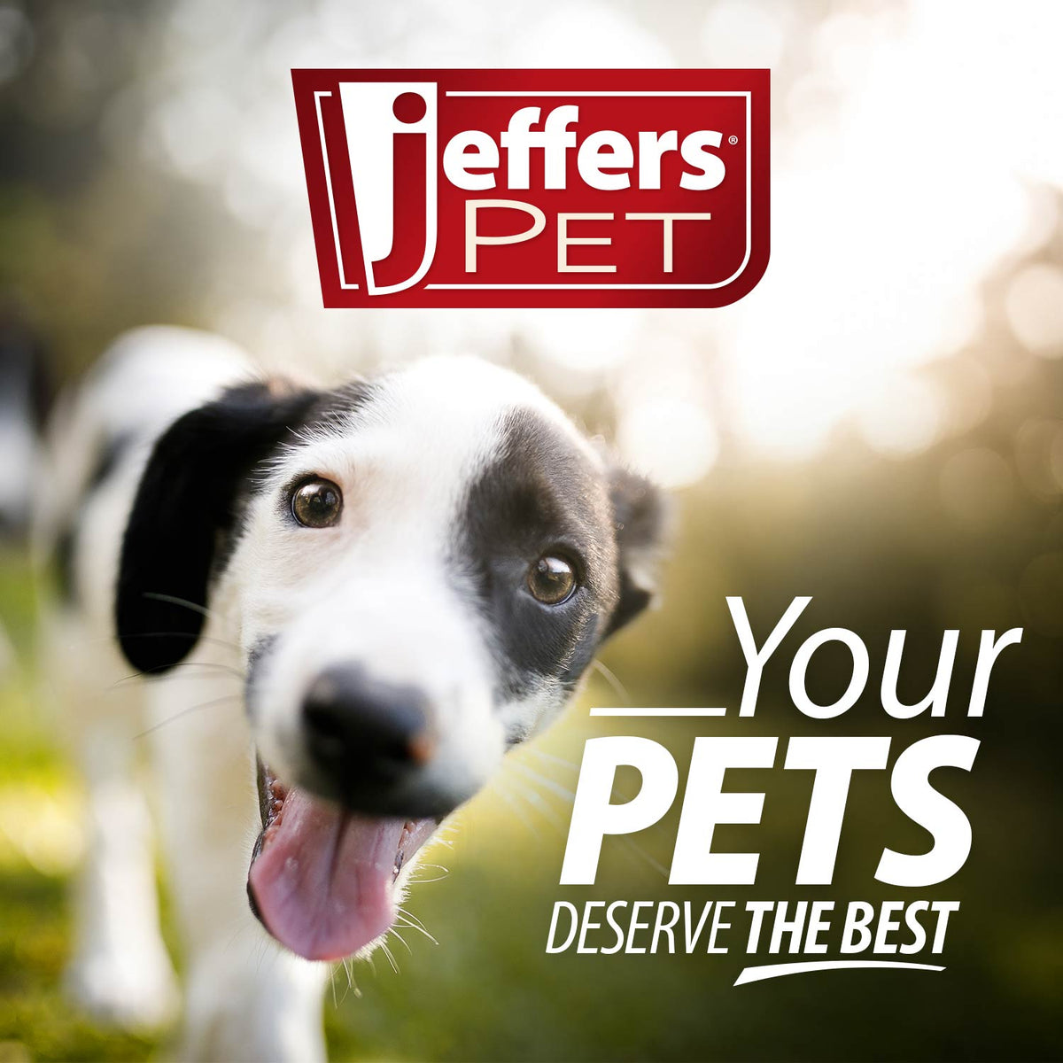 Jeffers Pet Colognes with Coat Conditioner, 16 oz Spray
